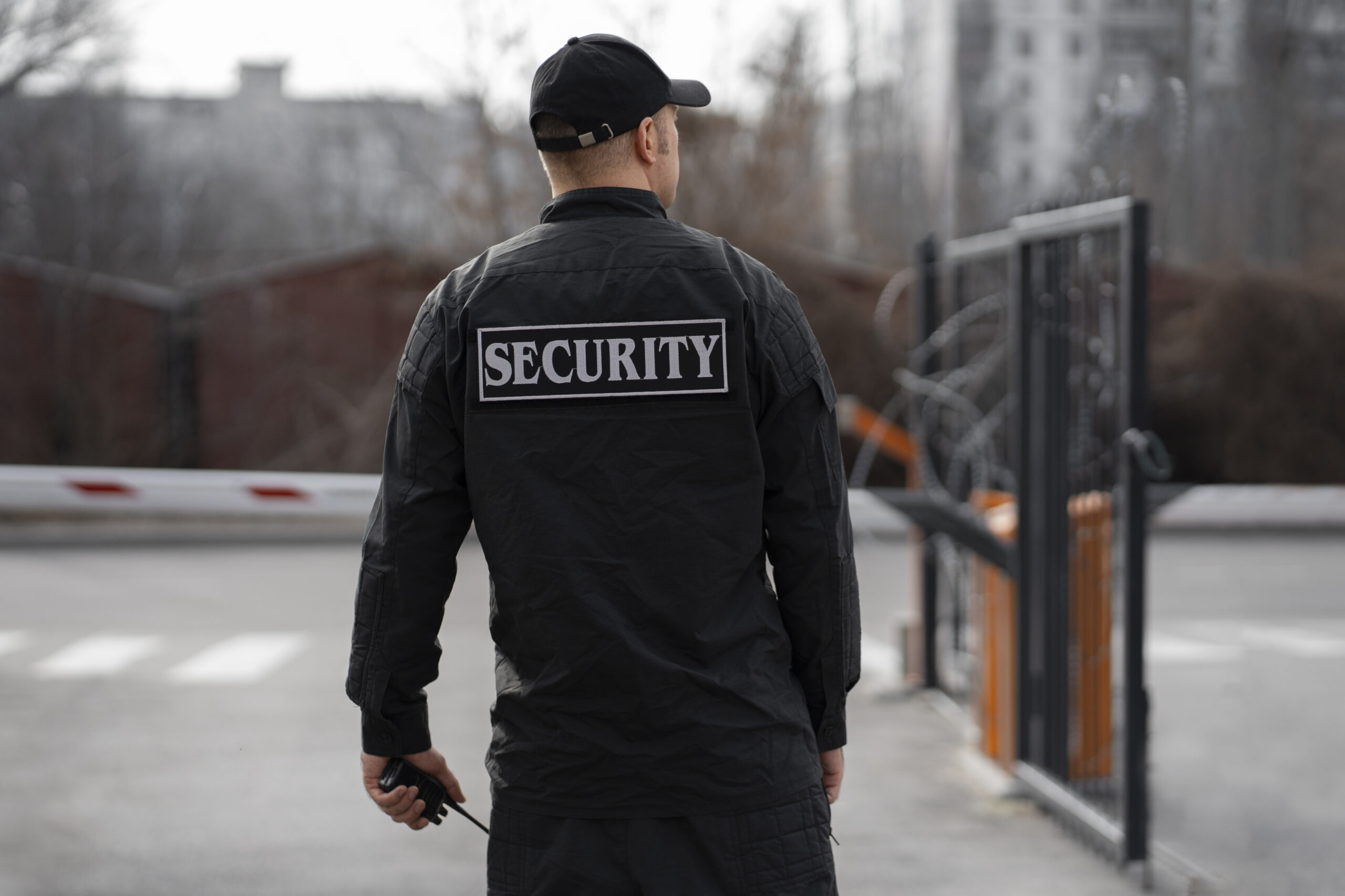 Read more about the article Safety and Security Service Mumbai: Protecting Your Home
